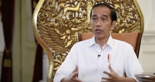 Jokowi Umumkan 6 Menteri Baru, Ini Nama-namanya