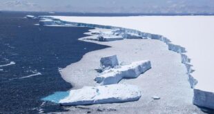 Rekor Suhu Terpanas Antartika 18,3 Derajat Celcius