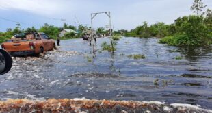 Banjir Kalimantan Tengah Meluas, 3.000 Warga Dua Kabupaten Mulai Terdampak